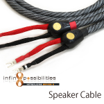 Wireworld Series8 Speaker Cable