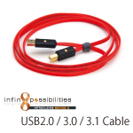 Wireworld Series8 USB  Cable